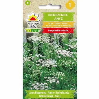 Biedrzeniec anyż 1g T