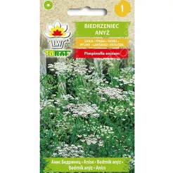 Biedrzeniec anyż 1g T 