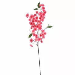 Kwitnąca wiśnia gałązka