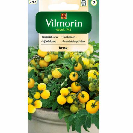 Pomidor balkonowy Aztek 0,3g Vilmorin, pomidorów