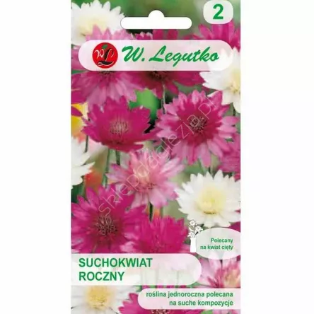 Suchokwiat roczny mieszanka 0,50g  L