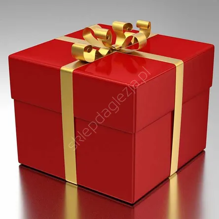 Opakowanie na prezent S