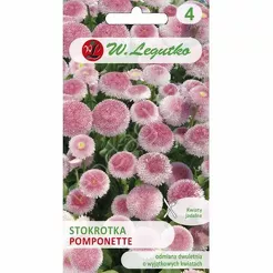 Stokrotka pospolita Pomponette różowa 0,1g L