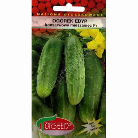 Ogórek Edyp 50 nasion otoczkowane Torseed