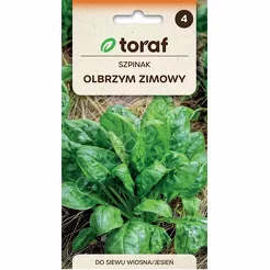 Szpinak Olbrzym Zimowy 10g T 