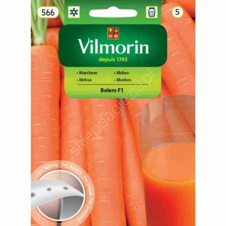 Marchew Bolero F1 taśma 7m Vilmorin