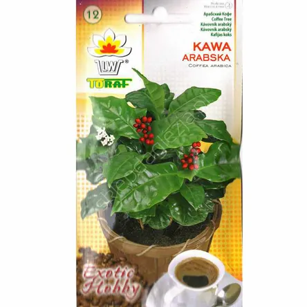 Kawa arabska 6szt Toraf 