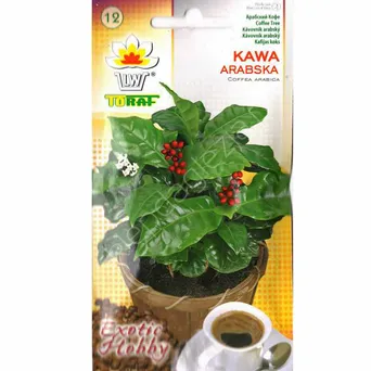 Kawa arabska 6szt T 