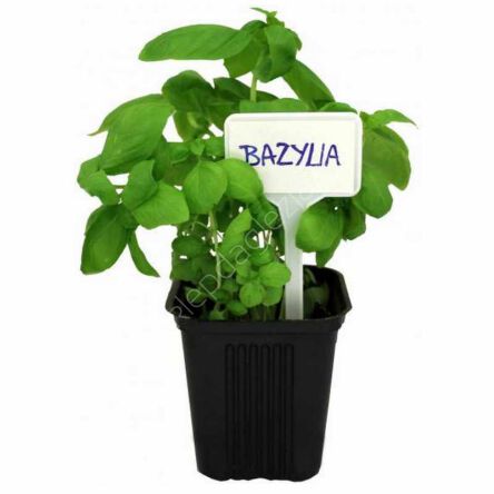 Tabliczka do opisu roślin 30szt