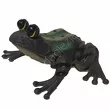 Żaba orientalna duża GW7332