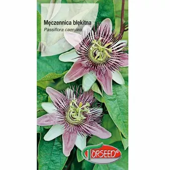Meczennica błek.-niebieskie 0,2g Passiflora  To