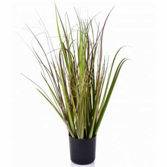 Trawa w doniczce 55cm