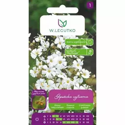 Gipsówka wytworna biała1,0g L