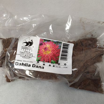 Dalia zestaw 260 Dana 