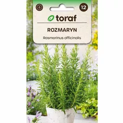 Rozmaryn 0,1g T 