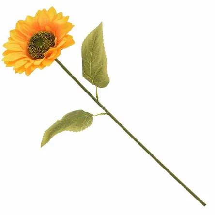 Słonecznik 66cm