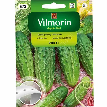 Ogórek Dalila taśma 7m 3g Vilmorin