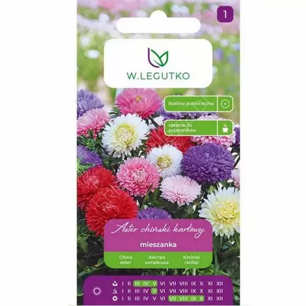 
Aster karłowy mix 1,25g L
