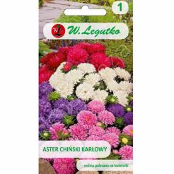 Aster karłowy mix 1,25g L