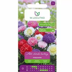 Aster karłowy mix 1,25g L