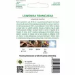 Lawenda francuska purpurowe 0,03g  L