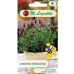 Lawenda francuska purpurowe 0,03g  L