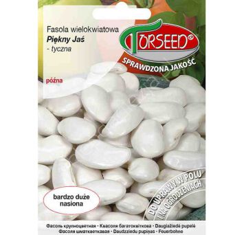 Fasola wielokwiatowa Piękny Jaś 40g To
