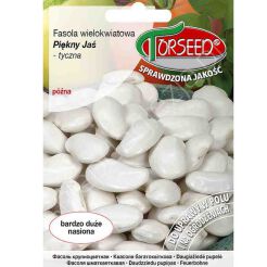 Fasola wielokwiatowa Piękny Jaś 40g To