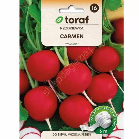 Rzodkiewka Carmen Taśma 6m T