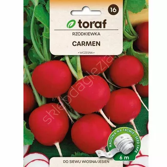Rzodkiewka Carmen Taśma 6m T 