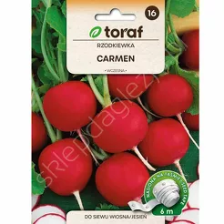 Rzodkiewka Carmen Taśma 6m T 