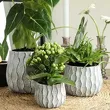 Doniczka cer Vave gray/black 8/7cm