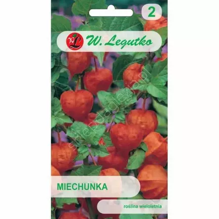 Miechunka rozdęta pomarańczowa 0,3g  L