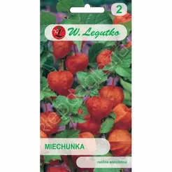 Miechunka rozdęta pomarańczowa 0,3g  L