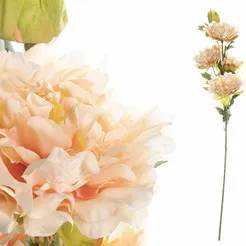 Piwonia gałązka łososiowa 89cm