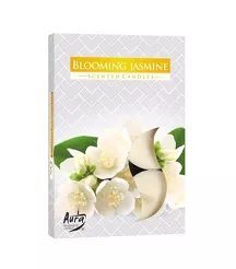 Podgrzewacz 6szt 15-169 Kwitnący Jaśmin