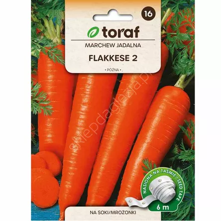 Marchew Flakkese 2 Taśma 6m T
