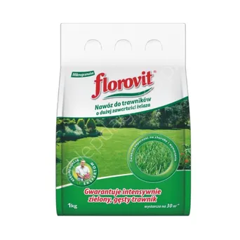 Florovit Trawnik 25kg z żelazem