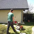 Wertykulacja trawnika