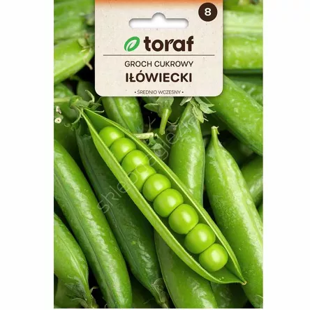 Groch Iłówiecki cukrowy 50g T