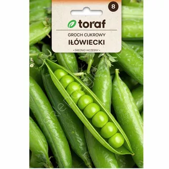 Groch Iłówiecki cukrowy 50g T 