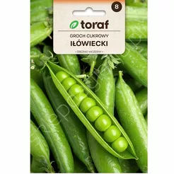 Groch Iłówiecki cukrowy 50g T 