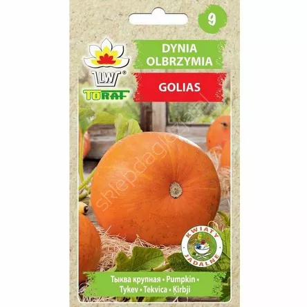 Dynia olbrzymia Golias 3g Toraf