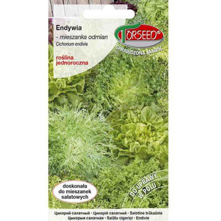 Endywia mieszanka odmian 2g Torseed