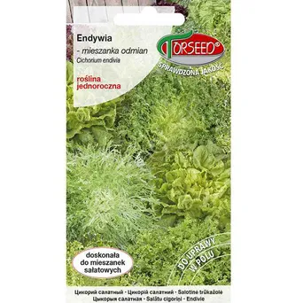 Endywia mieszanka odmian 2g