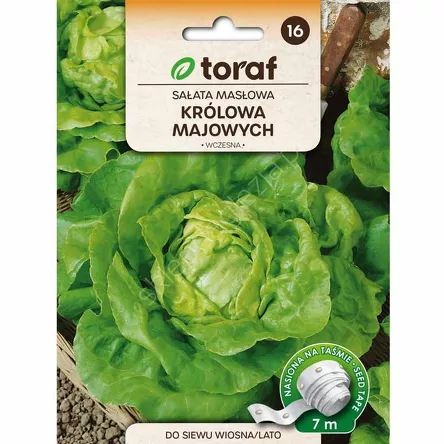 Sałata Królowa Majowych 7m T