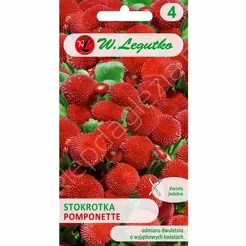 Stokrotka pospolita Pomponette czerwona 0,1g L