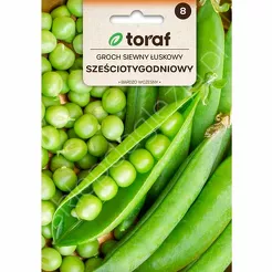Groch Sześciotygodniowy siewny 50g T 