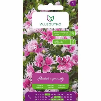 Goździk wspaniały mix 0,2g L
