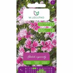 Goździk wspaniały mix 0,2g L